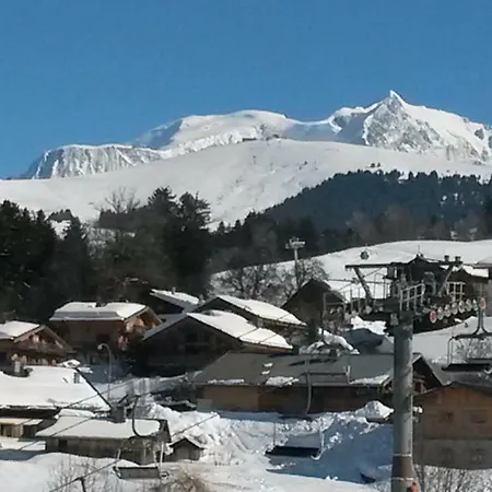 Monte-pente Apartment Megeve